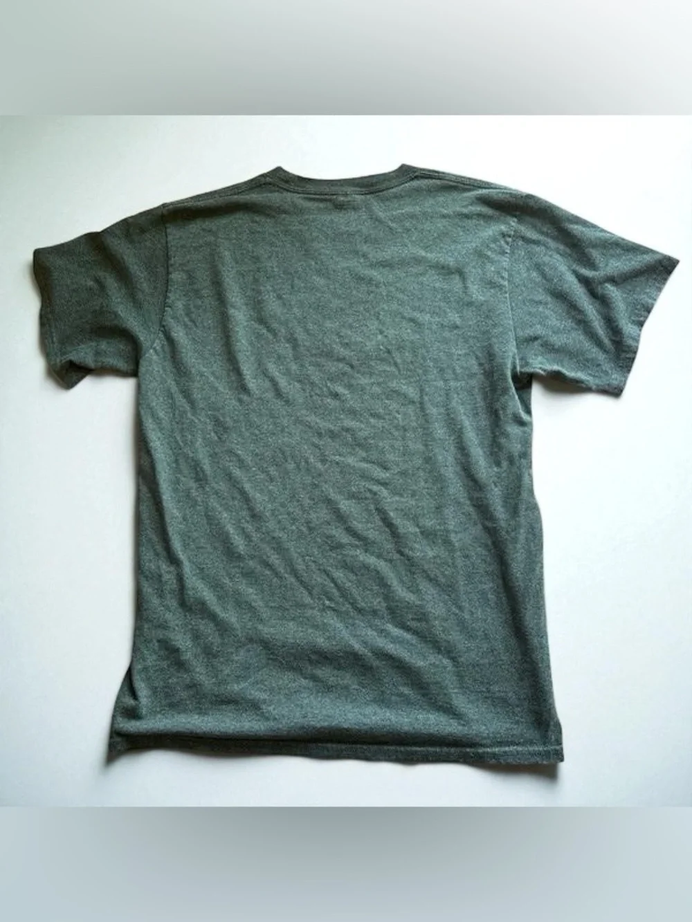 🔆Fish I Must Alaska Graphic Tee — Dark Green